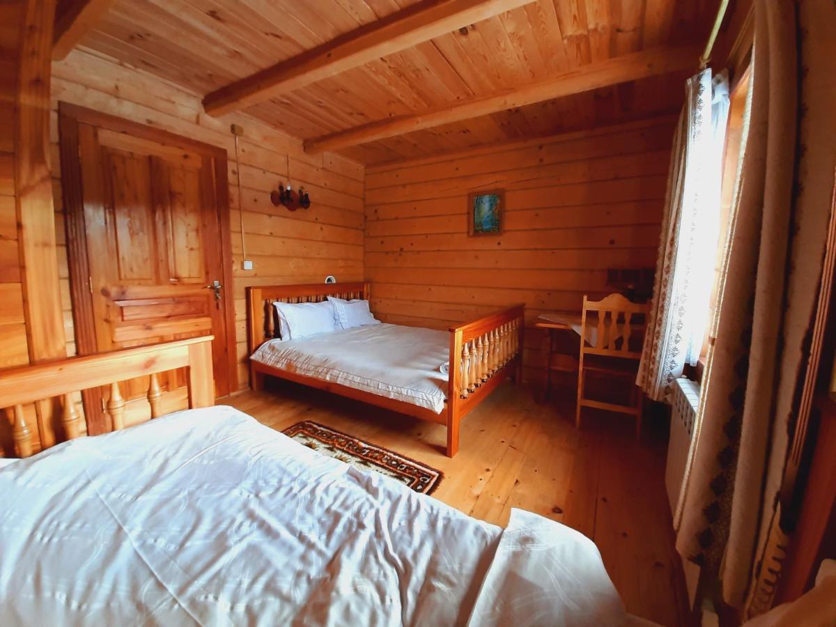 Зубровиця Bukovinka Esterno foto