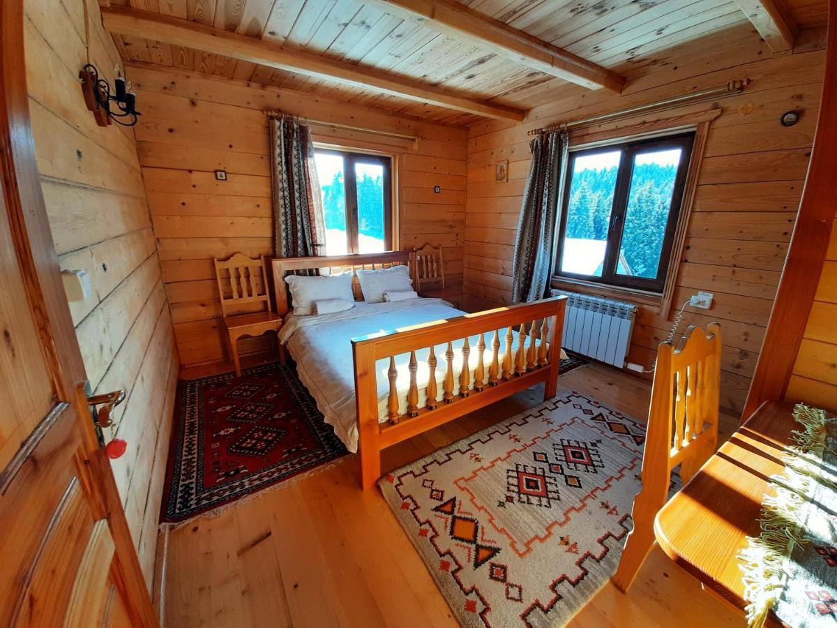 Зубровиця Bukovinka Camera foto