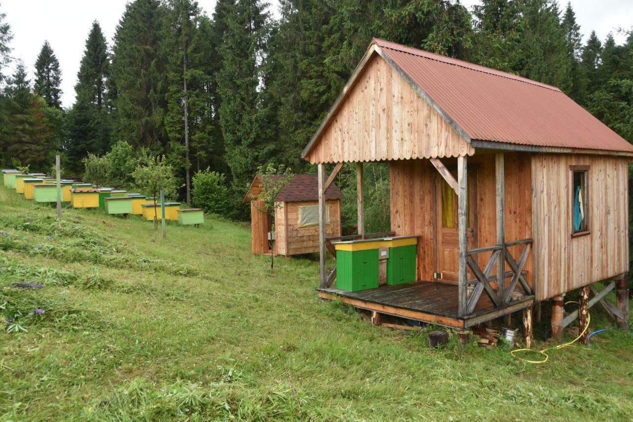 Зубровиця Bukovinka Esterno foto